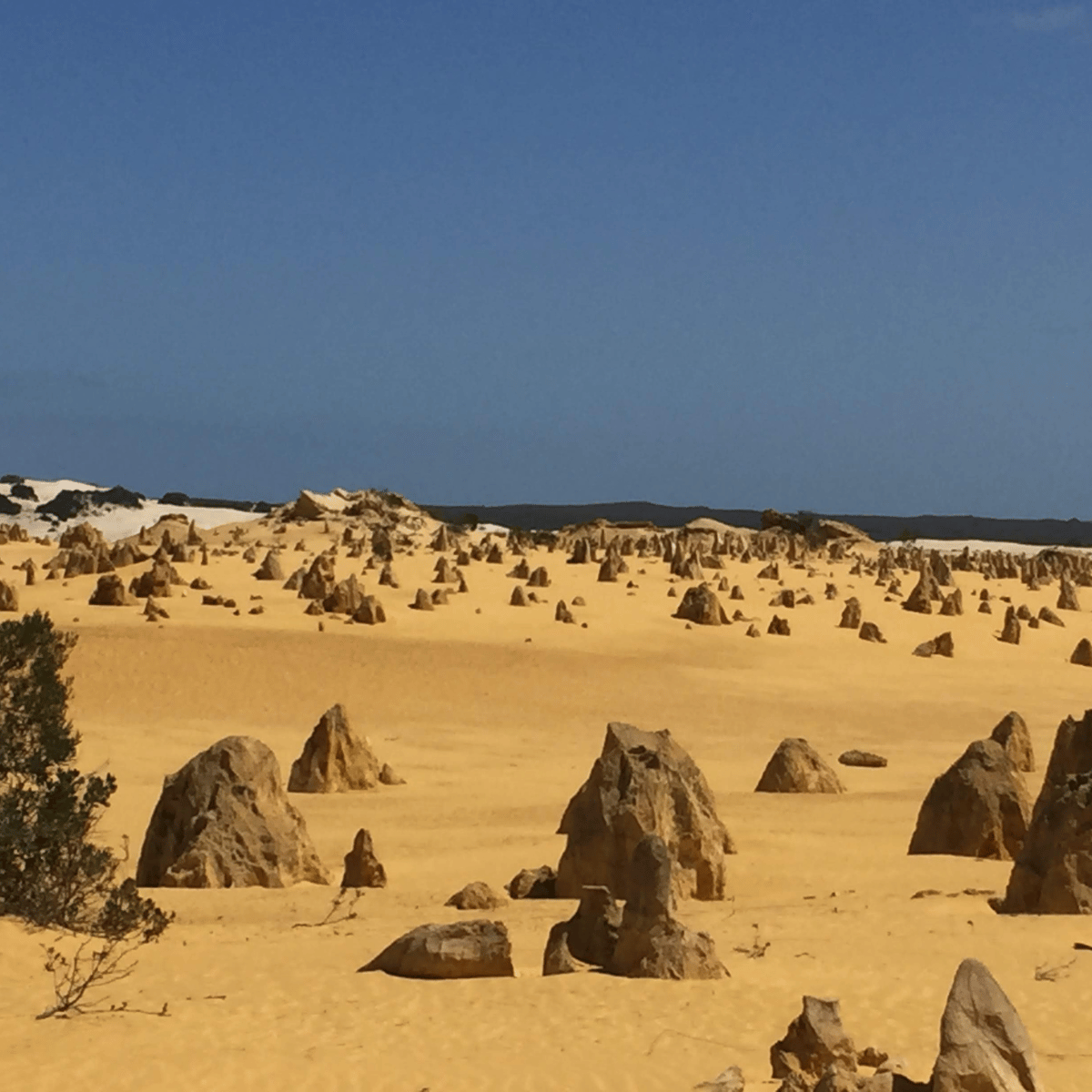 Pinnacles Desert