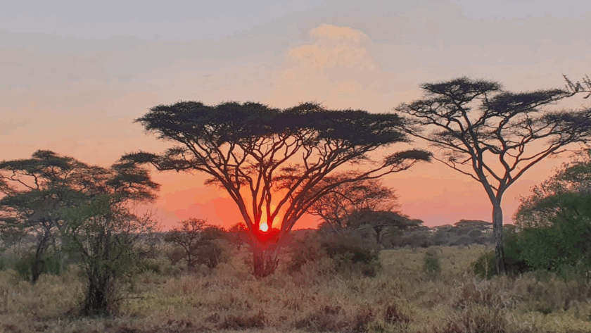 Tanzanie