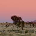 Uluru et le Centre Rouge en Australie : ce qu&rsquo;il faut savoir avant de partir