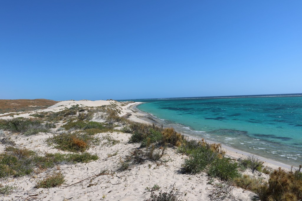 ningaloo reef australie